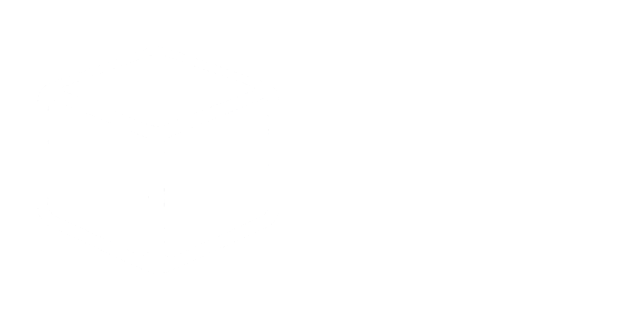 Logotipo de D27 Insights